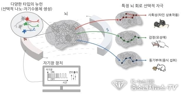 나노 MIND 기술 개요 <IBS 제공>