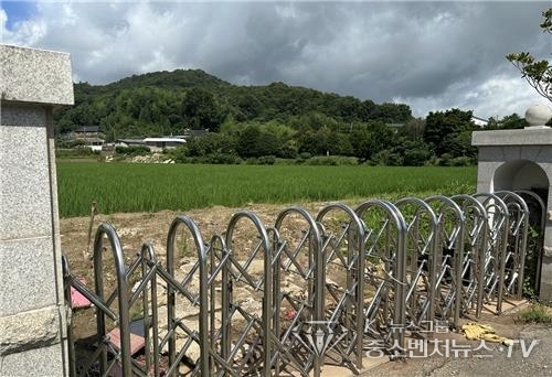 논으로 둔갑한 폐교 운동장