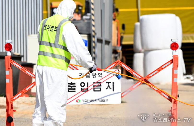전남에서 첫 구제역이 발생한 14일 오전 영암군 도포면의 한 구제역 발생 소 농장에서 방역 당국이 출입을 통제하고 있다.