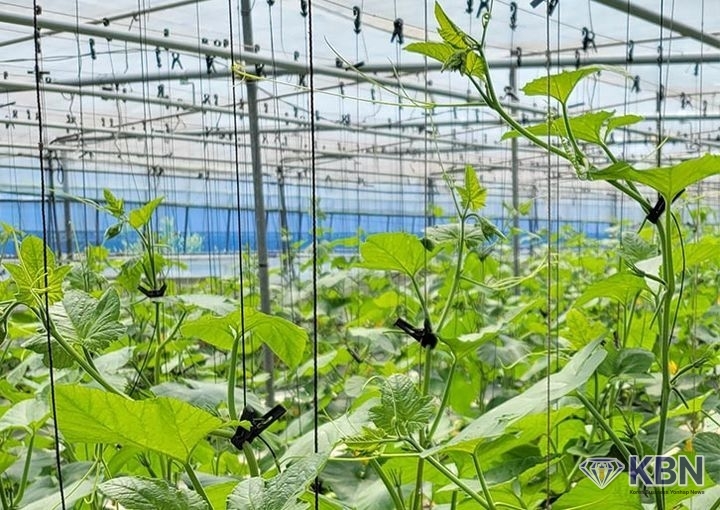 친환경농산물 재배단지