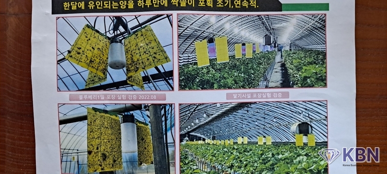 해충유인등을 이용한 해충포획기는 일반1달이상 포획량을 1일만에 포획한다