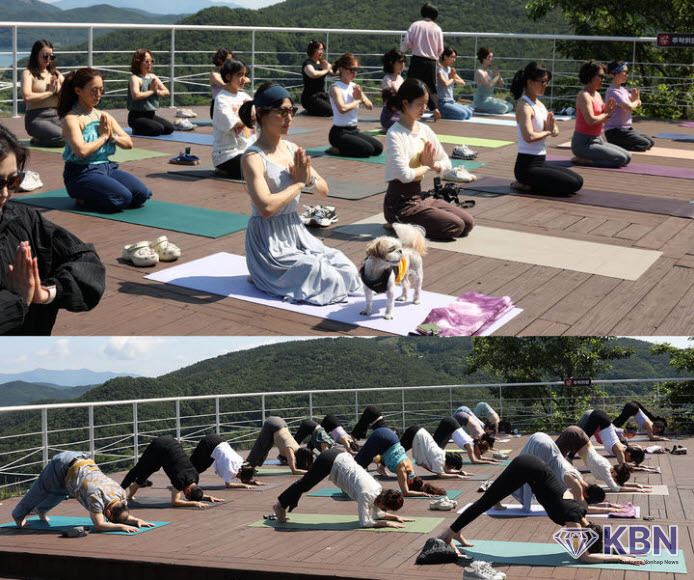 광주관광공사와 한국백혈병소아암협회 광주전남지회, 백혈병소아암 어린이 돕기 '요가의 날' 행사. (사진=광주시청 제공)