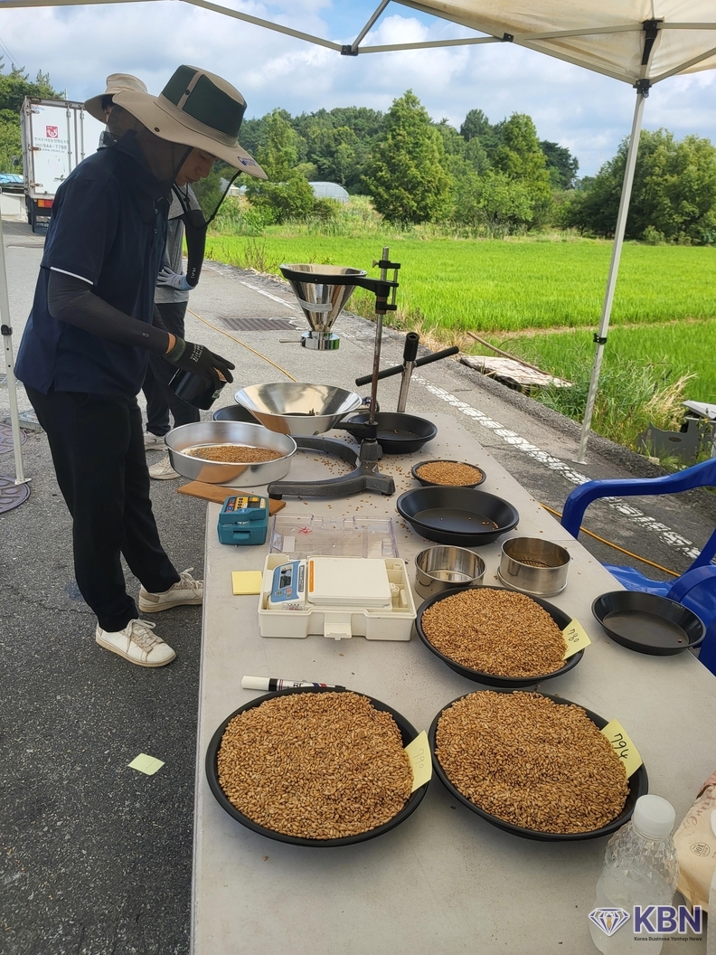 국립농산물품질관리원 정용민 검사관 국산밀 원곡 검사 및 품질등급 심사과정