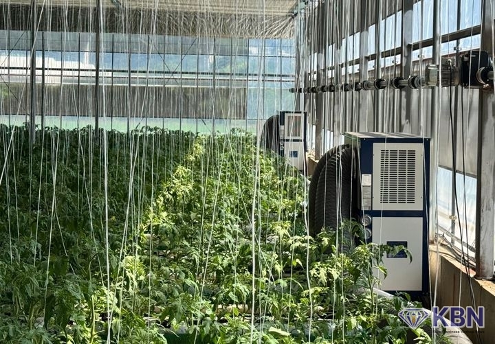 전남 지역 시설하우스 자료사진. (사진 제공 = 전남도)
