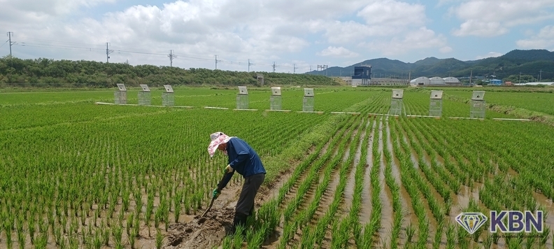 저탄소 농가