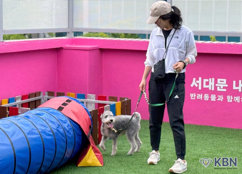 반려동물 종합문화공간인 ‘서대문 내품애(愛)센터’ 옥상 놀이터 모습