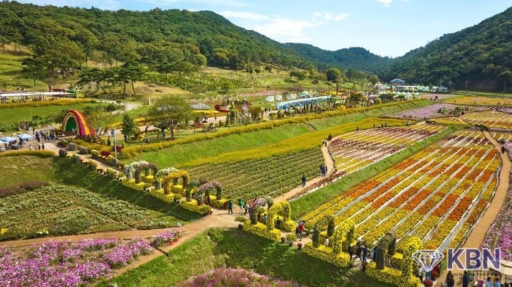 전남 화순군은 다음달 17일부터 열흘간 화순 고인돌 유적지 일대에서 '2025 화순 고인돌 가을꽃 축제'를 개최한다고 22일 밝혔다. 고인돌 유적지 전경. (사진=화순군 제공)