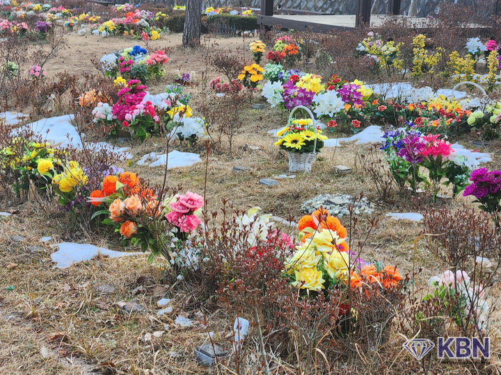 광주 영락공원·망월묘지 플라스틱 조화 반입 금지. (사진=광주도시공사 제공).