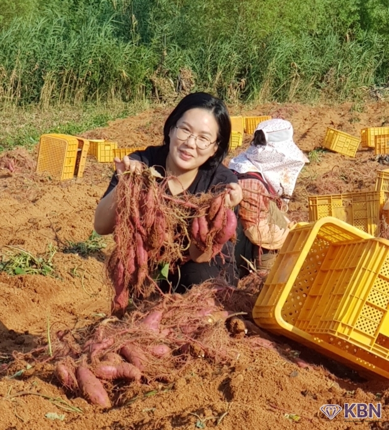 무안군 에서 고구마 농사꾼 조은지 씨는 " 착한고구마" 브랜드로 인터넷 판매로 소비자의 신뢰속에 판매가 안정화 되어가고 있다