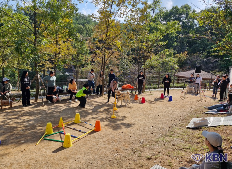 은평댕댕 가을소풍 (사진=은평구청 제공)