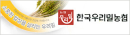 배너
