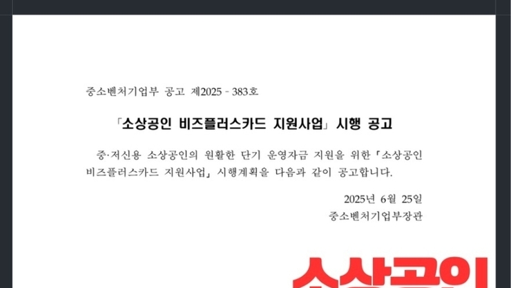 소상공인 비즈플러스카드 지원사업 시행