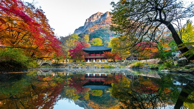 만추의 계절, 전남서 단풍길 걸으며 힐링하세요
