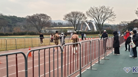 화순군, 2025 화순고인돌 전국 마라톤대회 성황리 마무리