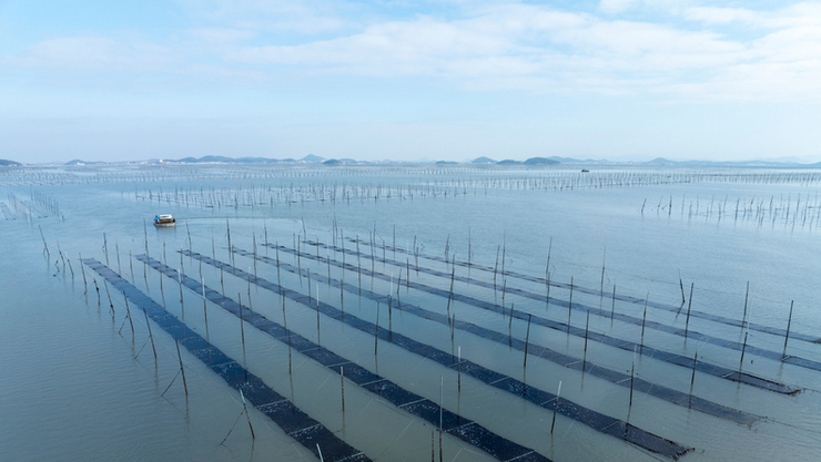 전남도, AI·스마트 양식 전환으로 수산업 경쟁력강화 확대지원