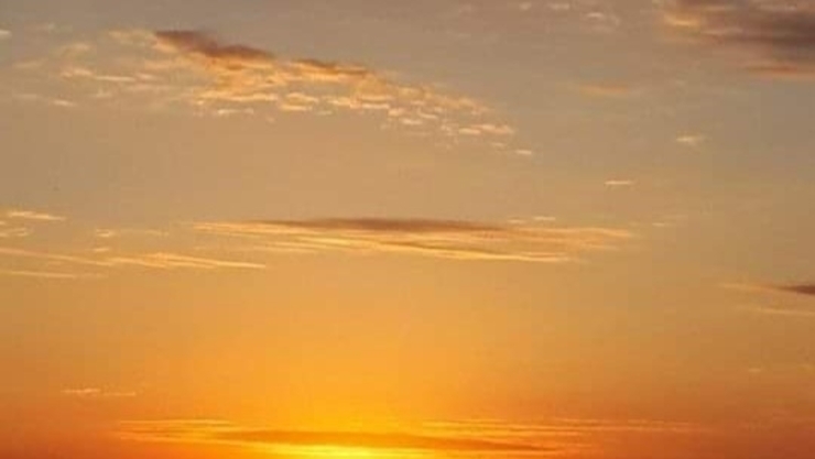 [칼럼] 부드러운 여명 속에 감춰진 병오년의 붉은 열정